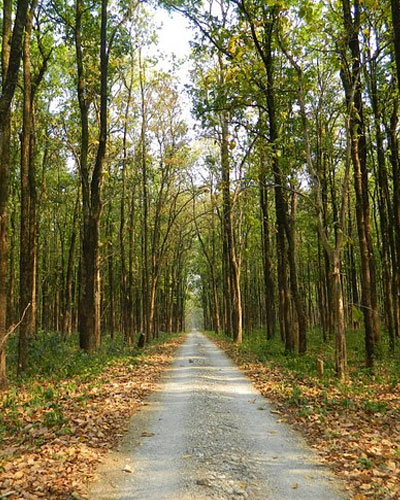 Lataguri